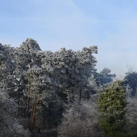 Daire Ferienwohnung Isterberg *