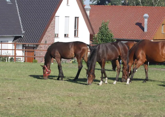 Ferienwohnung Isterberg Daire Isterberg