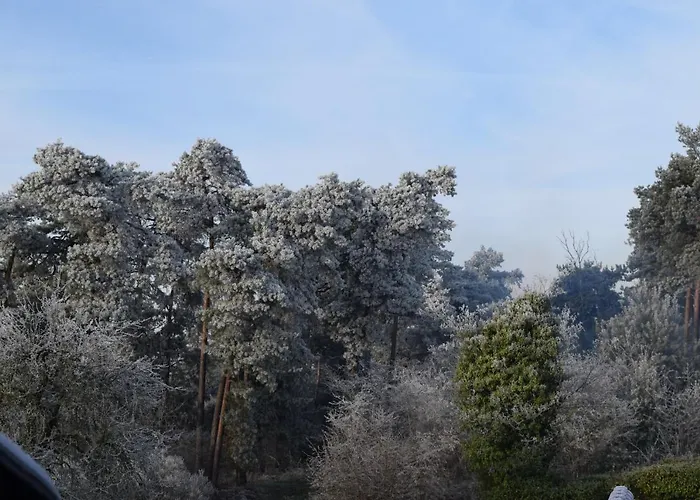 Апартаменты Ferienwohnung Isterberg *