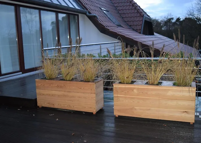 Апартаменты Ferienwohnung Isterberg Isterberg